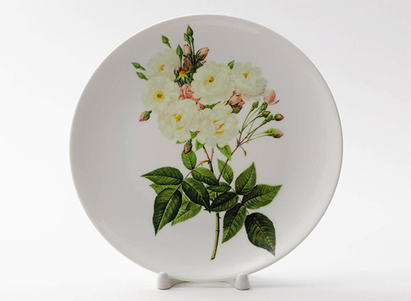 Декоративная тарелка Пьер Жозеф Редуте Роза нуазетовая