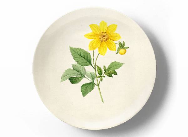 Декоративная тарелка Пьер Жозеф Редуте Роза центифолия буллата