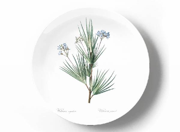 Декоративная тарелка Пьер Жозеф Редуте Витсения Коримбоза