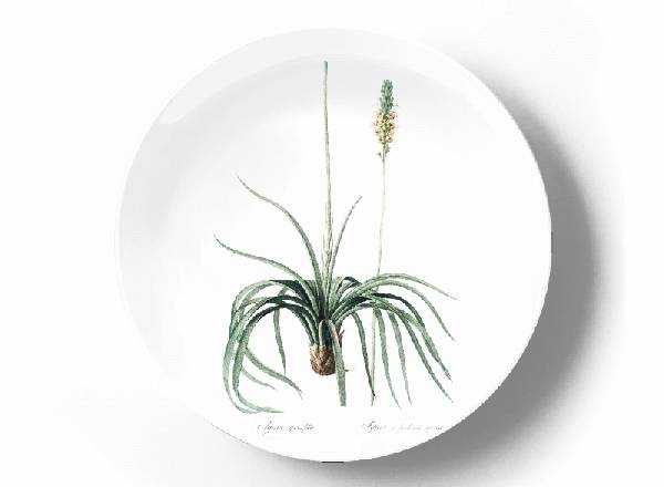 Декоративная тарелка Пьер Жозеф Редуте Agave Yuccaefolia
