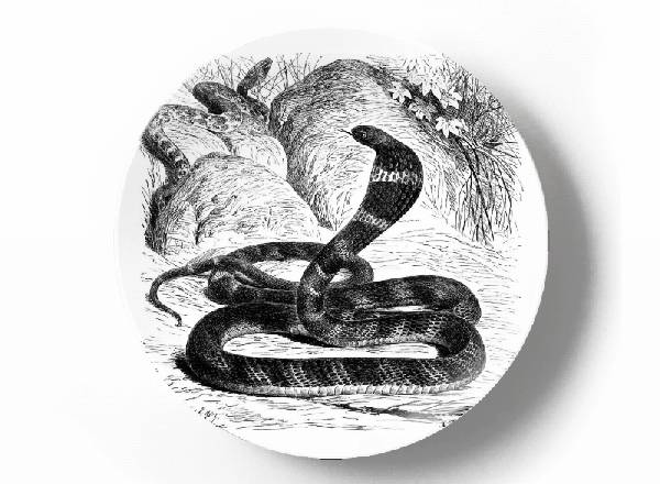 Декоративная тарелка Карл Густав Ямаргт Кобра