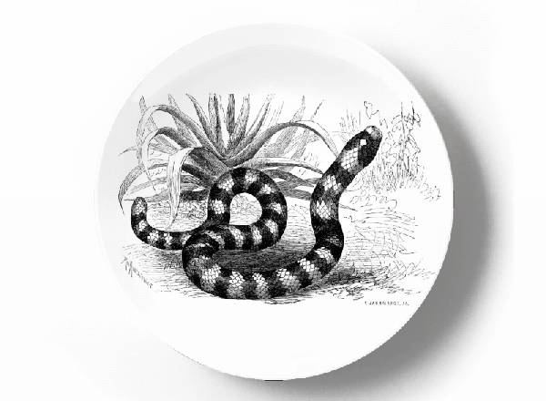 Декоративная тарелка Карл Густав Ямаргт Коралловая сверташка