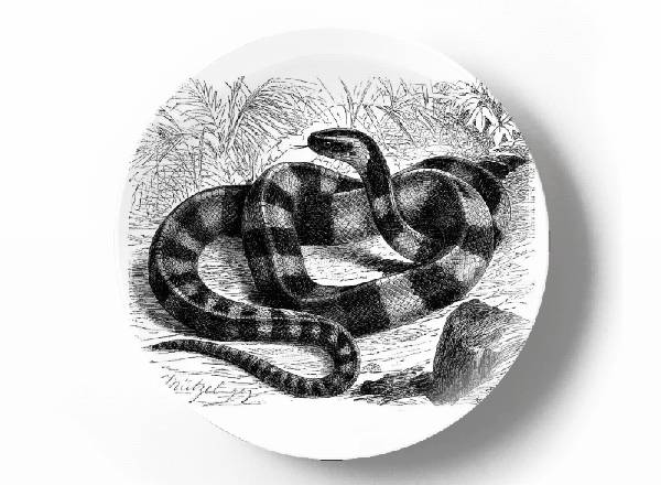 Декоративная тарелка Карл Густав Ямаргт Ленточный крайт