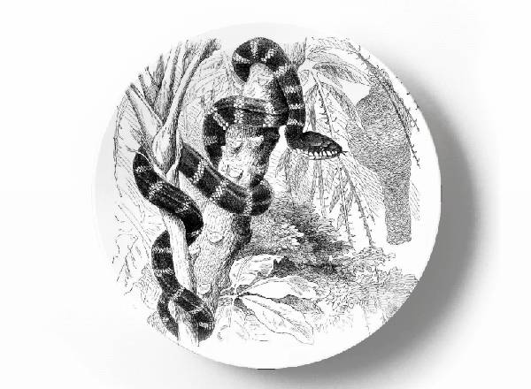 Декоративная тарелка Карл Густав Ямаргт Мангровая змея