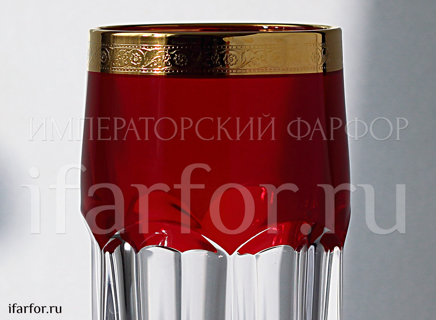 Сафари 6/6