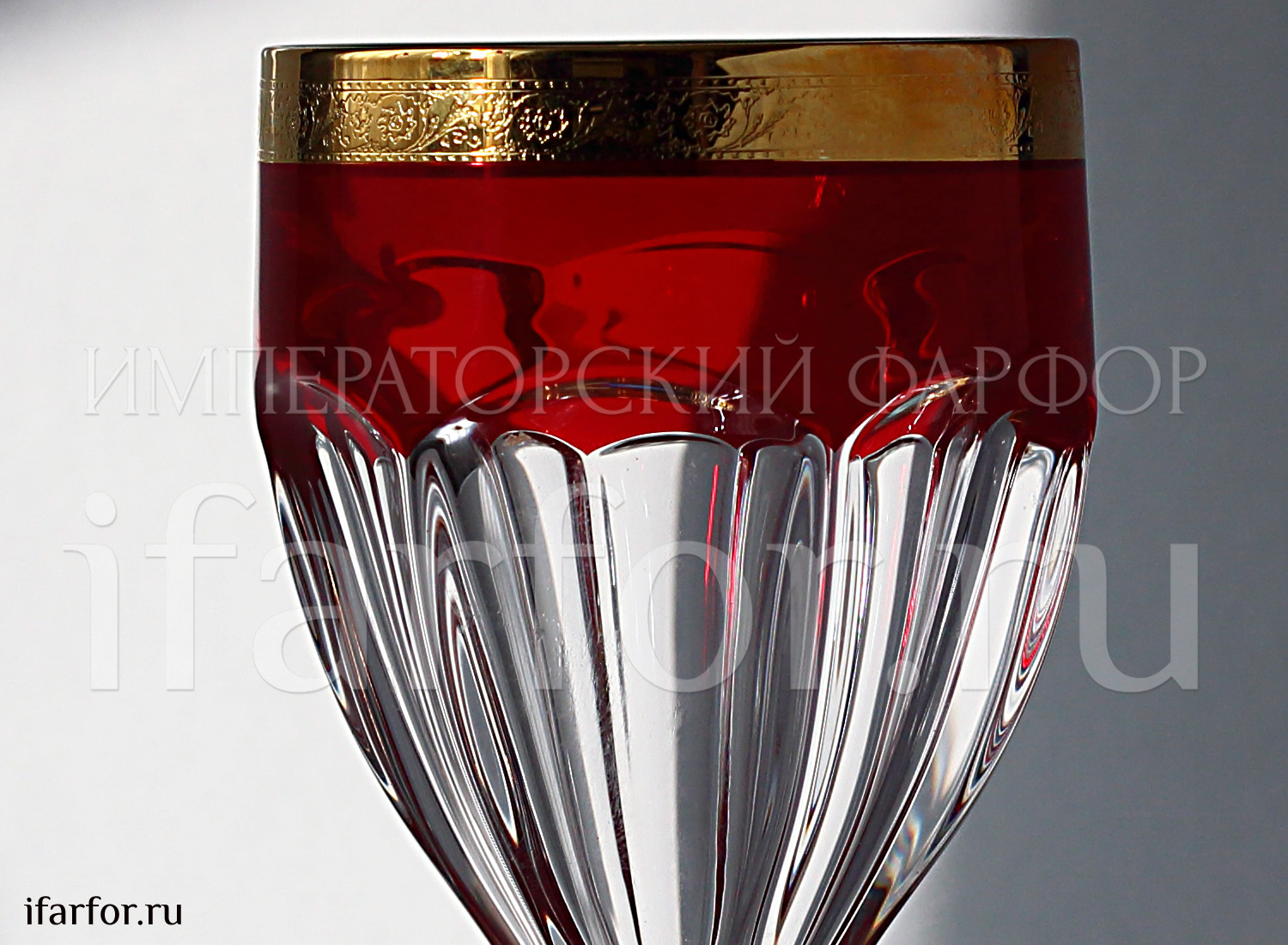 Сафари 6/6