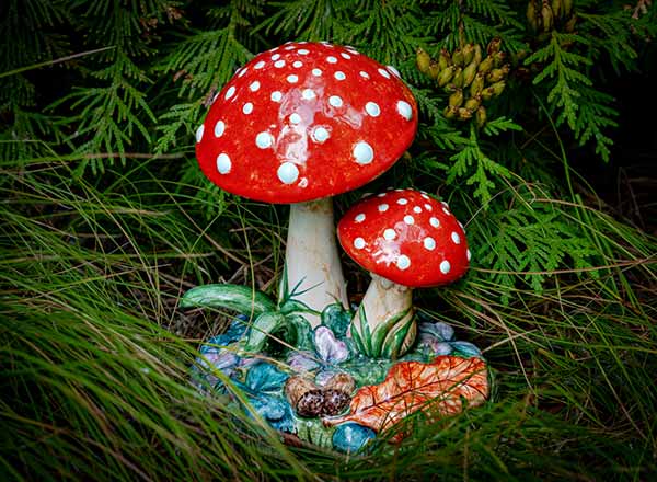 Скульптура Мухоморы