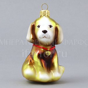Собака