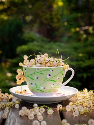 «Июль, таскающий в одёже Пух одуванчиков, лопух, Июль, домой сквозь окна вхожий, Всё громко говорящий вслух. Степной неч