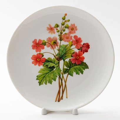 Декоративная тарелка Китайский первоцвет