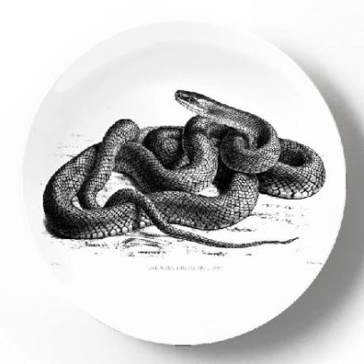 PST000558