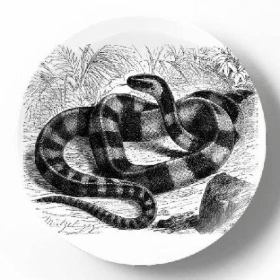 PST000563