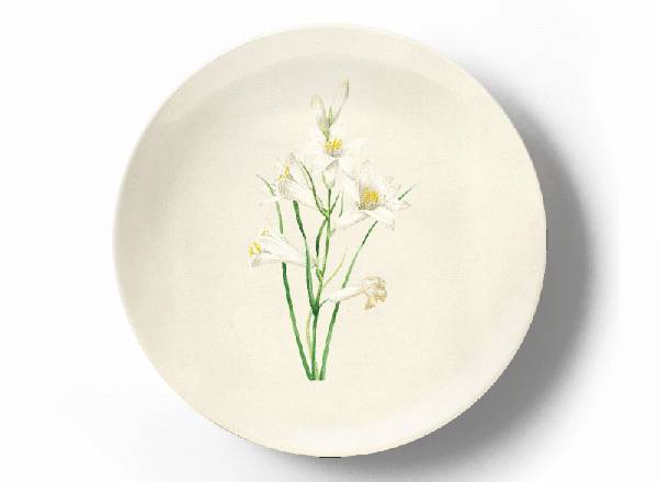 Декоративная тарелка Пьер Жозеф Редуте Лилия бруно