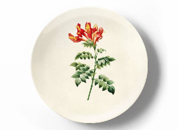 Декоративная тарелка Пьер Жозеф Редуте Бигнония капская