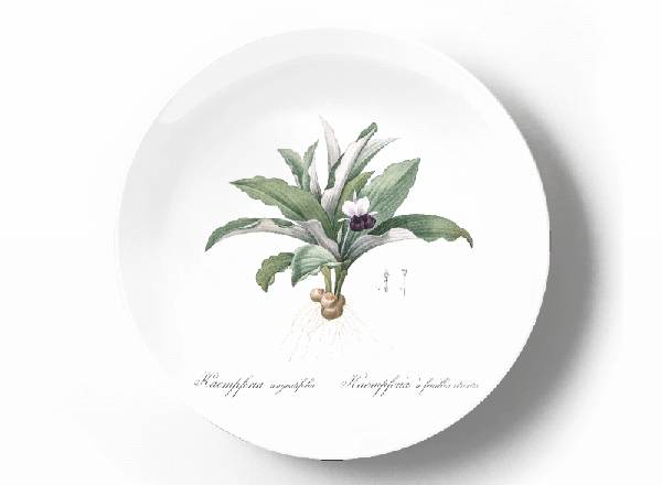 Декоративная тарелка Пьер Жозеф Редуте Каемпферия