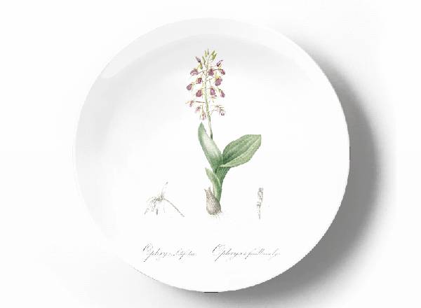 Декоративная тарелка Пьер Жозеф Редуте Лилифолия