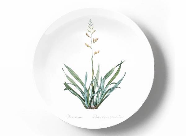 Декоративная тарелка Пьер Жозеф Редуте Формиум тенакс