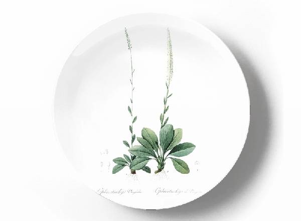 Декоративная тарелка Пьер Жозеф Редуте Хамелириум