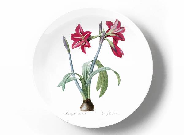 Decorative plate Pierre-Joseph Redouté Amarylis