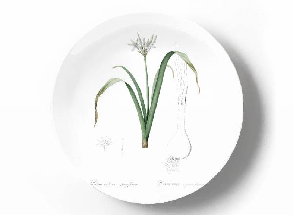 Decorative plate Pierre-Joseph Redouté Parviflorum