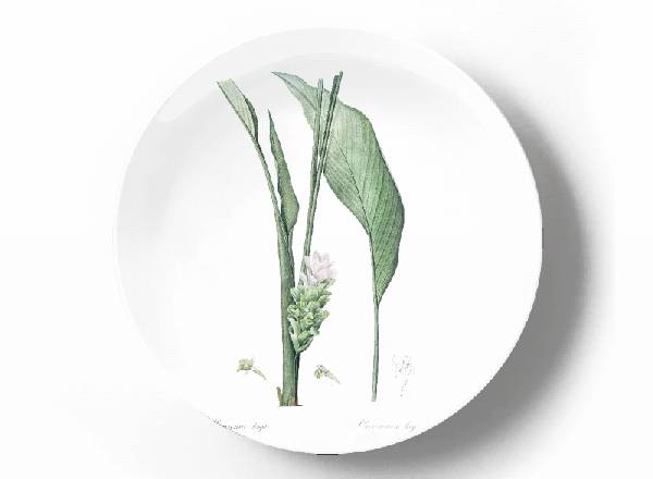 Decorative plate Pierre-Joseph Redouté Botanical turmeric