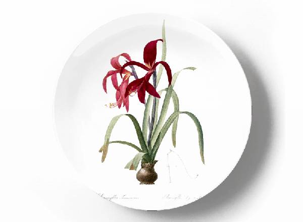 Decorative plate Pierre-Joseph Redouté Amaryllis Fomossissima