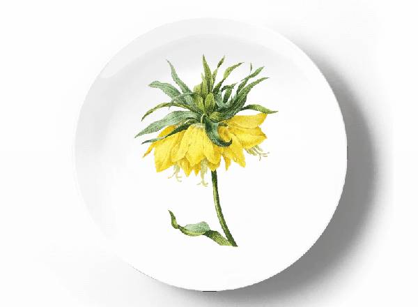 Decorative plate Pierre-Joseph Redouté Heliocereus Speciosus