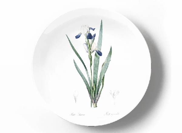 Decorative plate Pierre-Joseph Redouté Iris amoena