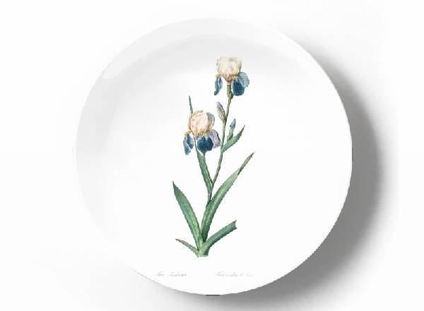 Decorative plate Pierre-Joseph Redouté Iris sambucina