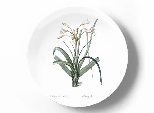Decorative plate Pierre-Joseph Redouté Amaryllis