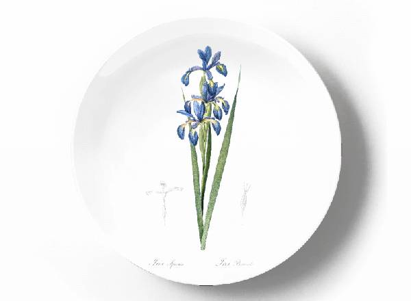 Decorative plate Pierre-Joseph Redouté Iris spuria