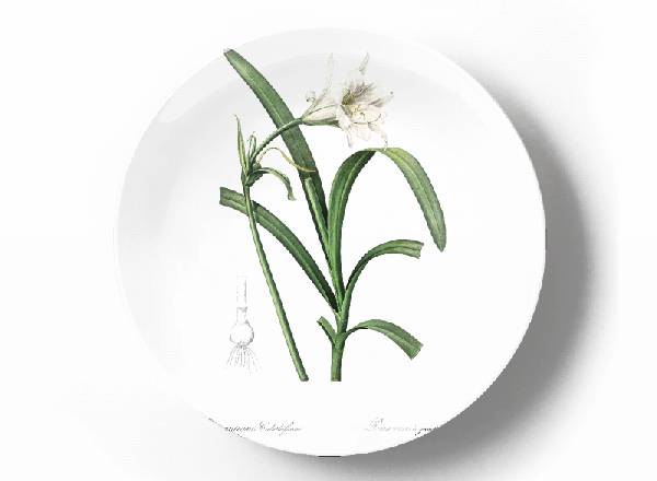 Decorative plate Pierre-Joseph Redouté Ismene narcissiflora