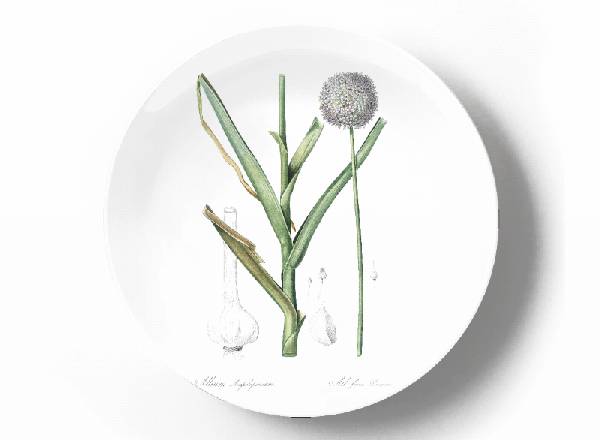 Decorative plate Pierre-Joseph Redouté Pregnant Onion