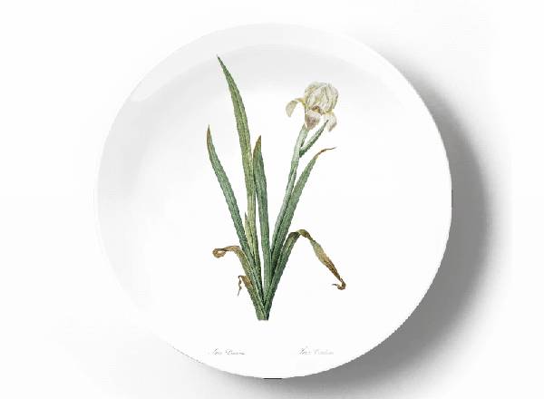 Decorative plate Pierre-Joseph Redouté Iris