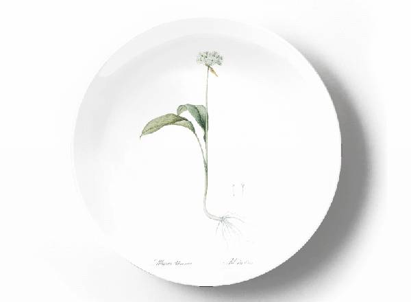 Decorative plate Pierre-Joseph Redouté Allium Ursium
