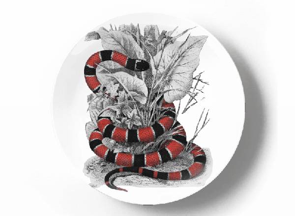 Decorative plate Karl Gustav Jahrmargt Korallenotter