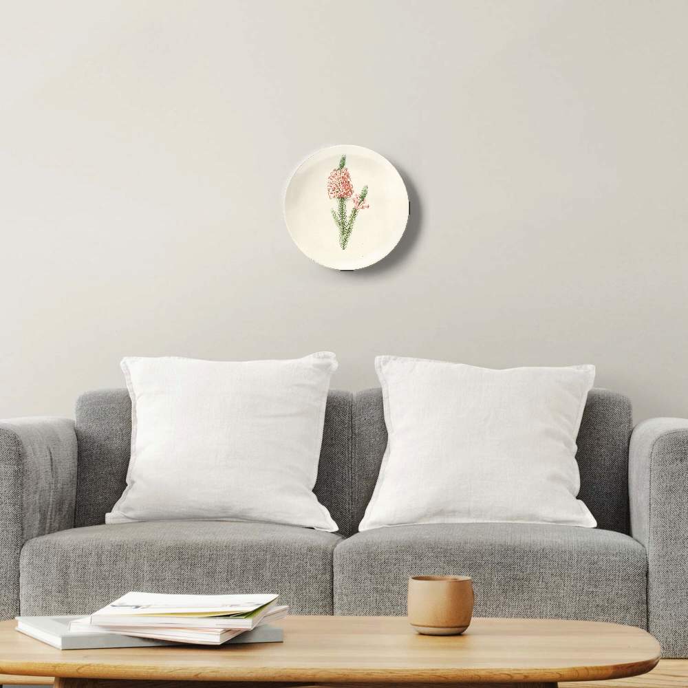Сушеный ранункулюс — Пьер Жозеф Редуте